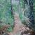 Wyoming Path, Oil on Canvas, 18"x24", Private Collection, Chevy Chase, Maryland